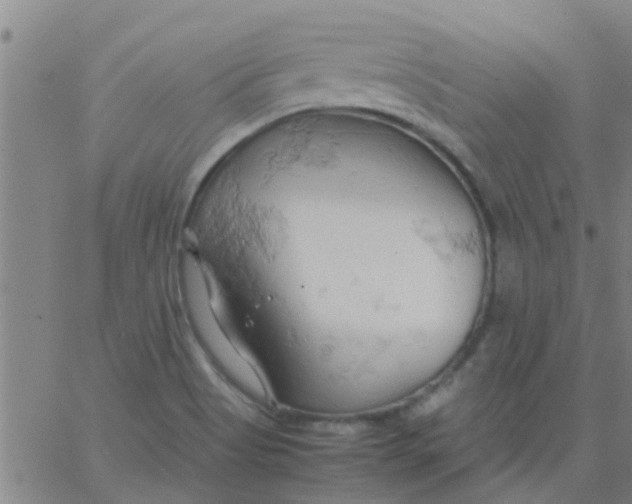 X0000061741513200512231447