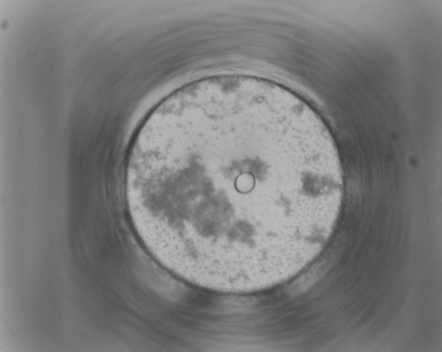 X0000061741514200512231447