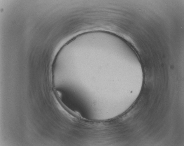 X0000061741516200512231447