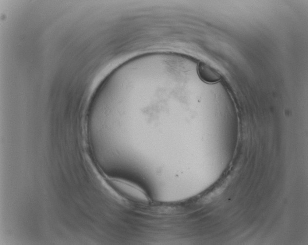 X0000061741517200512231447