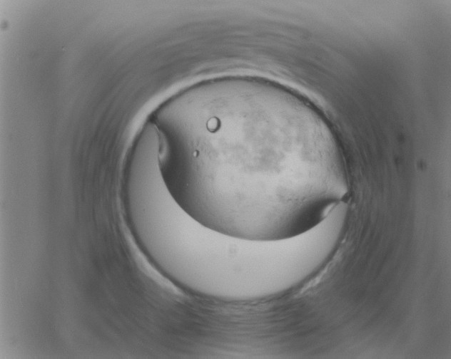 X0000061741518200512231447