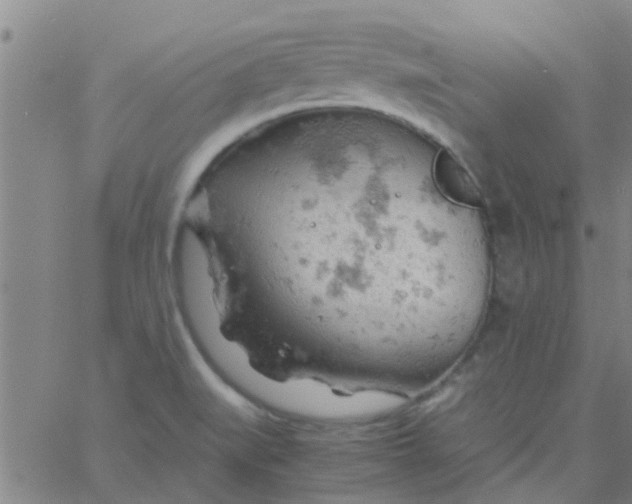 X0000061741519200512231447