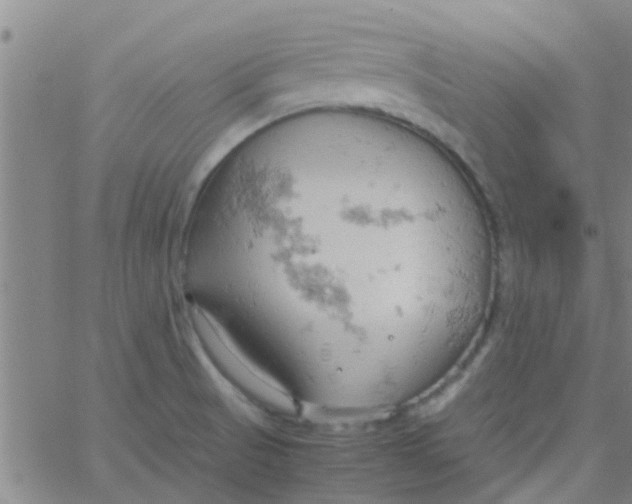 X0000061741521200512231447