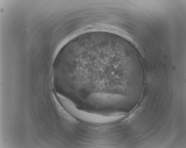 X0000061741522200512231447