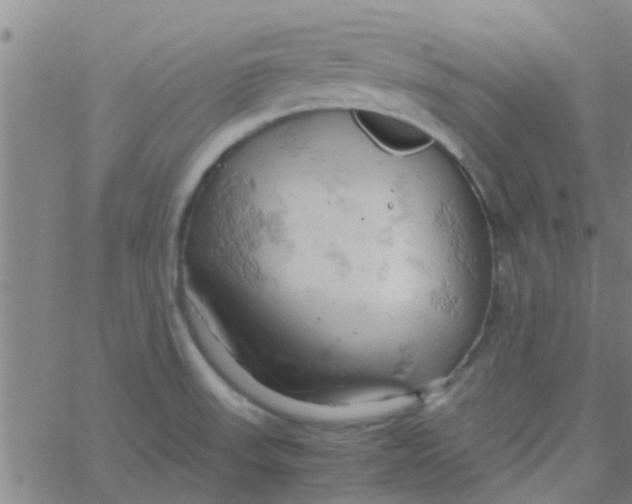 X0000061741523200512231447