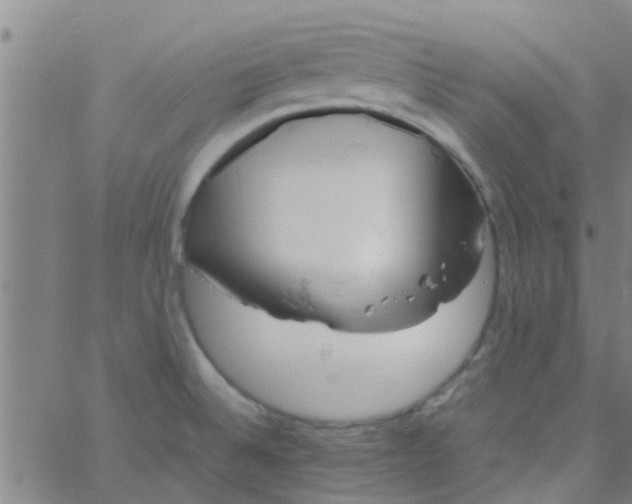 X0000061741524200512231447