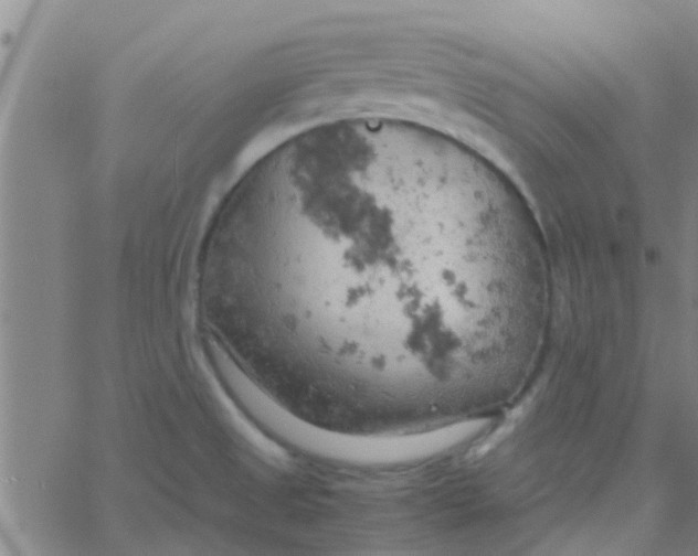 X0000061741525200512231447