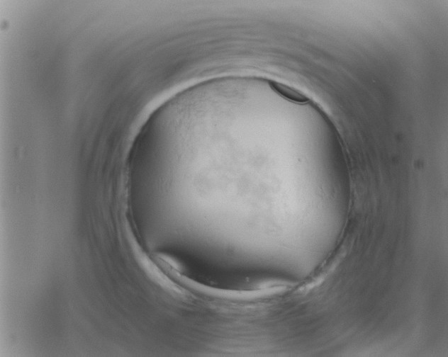 X0000061741526200512231447