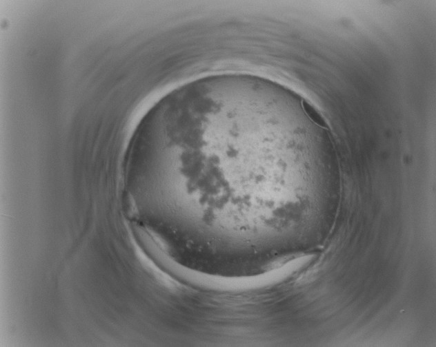 X0000061741527200512231447