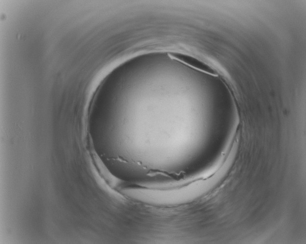 X0000061741528200512231447