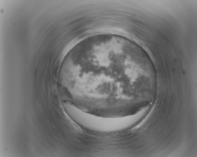 X0000061741529200512231447