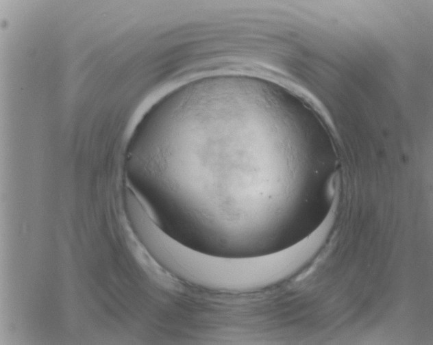 X0000061741530200512231447