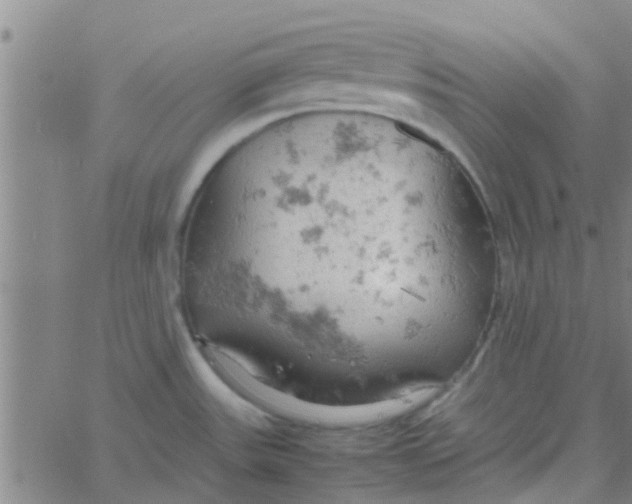 X0000061741531200512231447