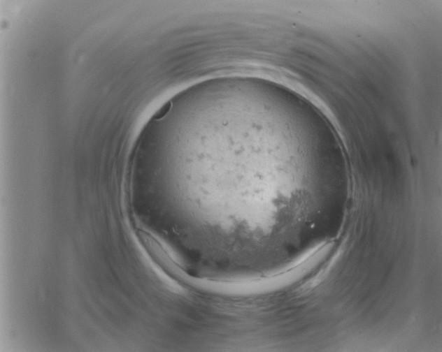 X0000061741533200512231447