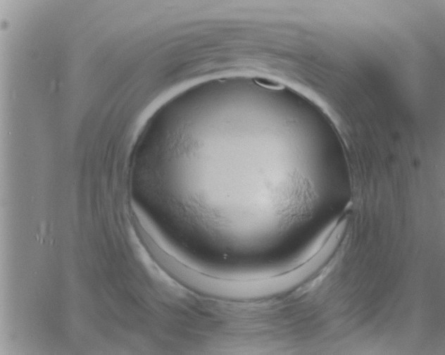 X0000061741534200512231447