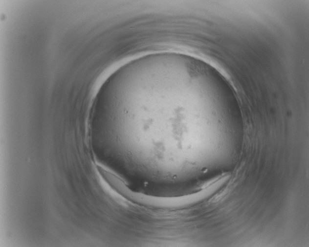 X0000061741535200512231447