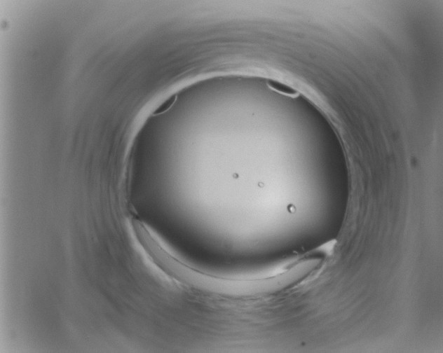 X0000061741536200512231447