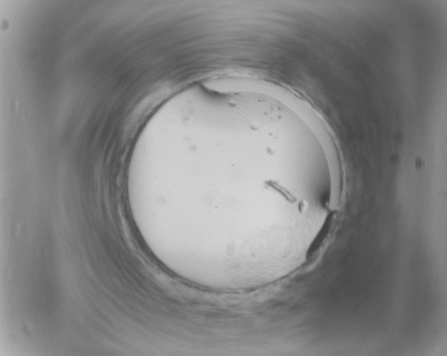 X0000061740001200512302224