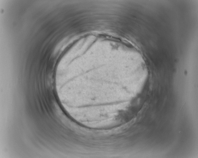 X0000061740002200512302224