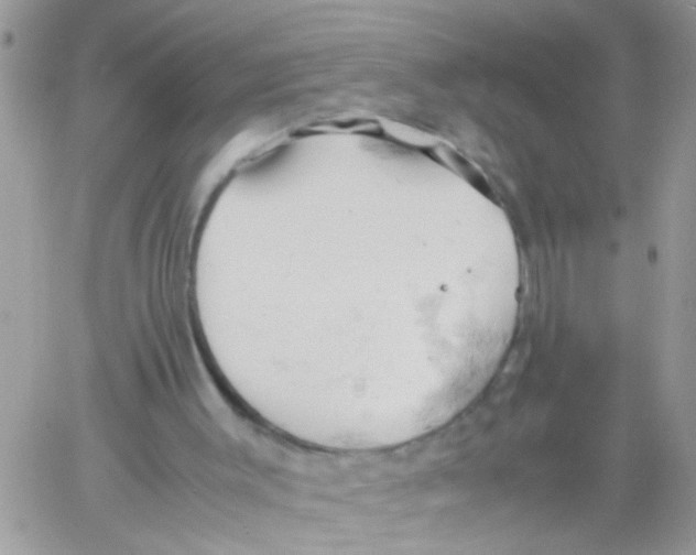 X0000061740003200512302224