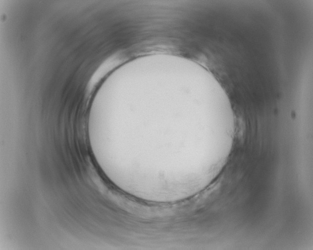 X0000061740004200512302223