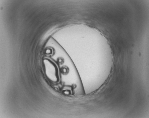 X0000061740005200512302223