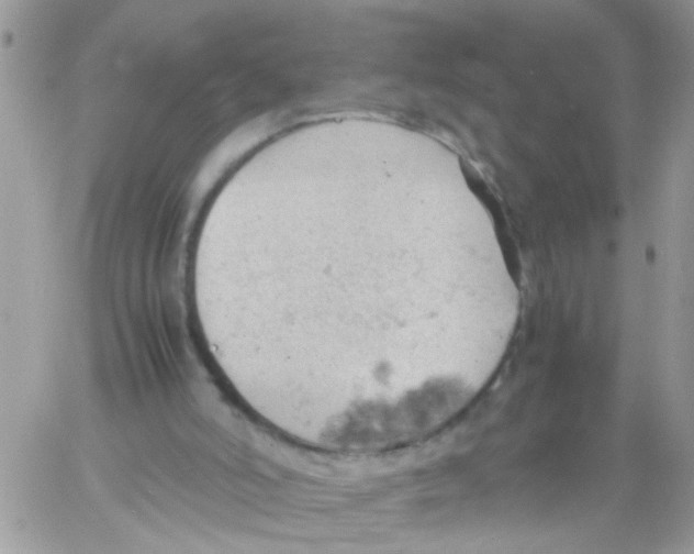 X0000061740006200512302223