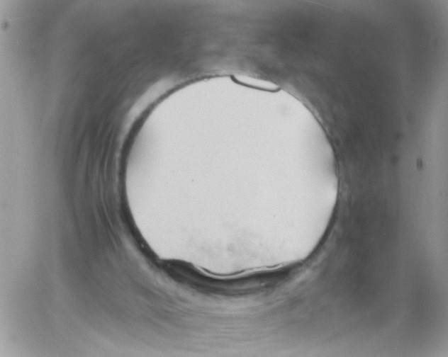 X0000061740008200512302223