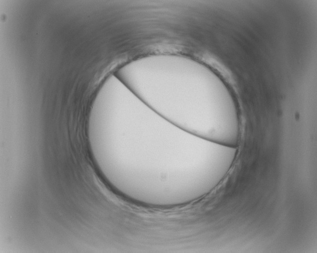 X0000061740009200512302223