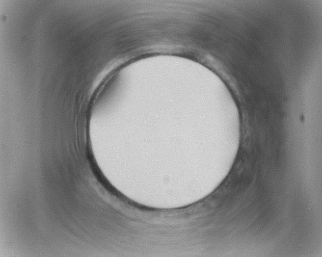 X0000061740011200512302223