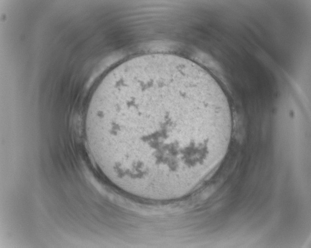 X0000061740012200512302223