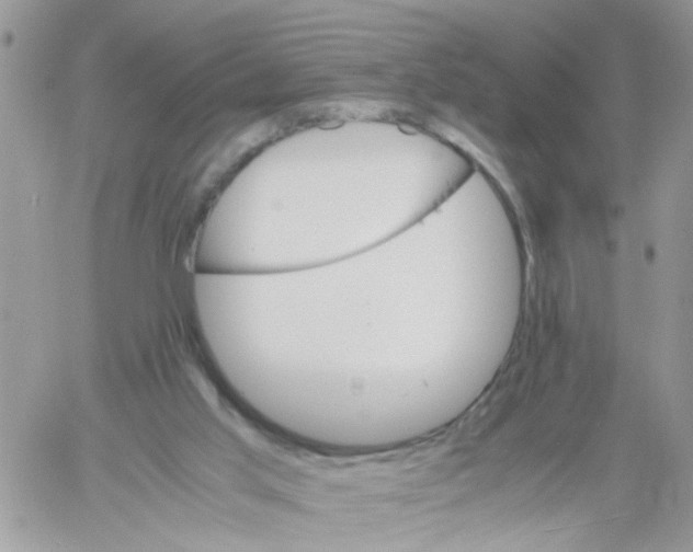 X0000061740013200512302223