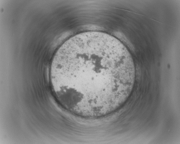 X0000061740014200512302223