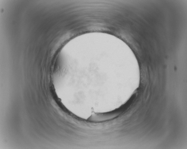 X0000061740015200512302223