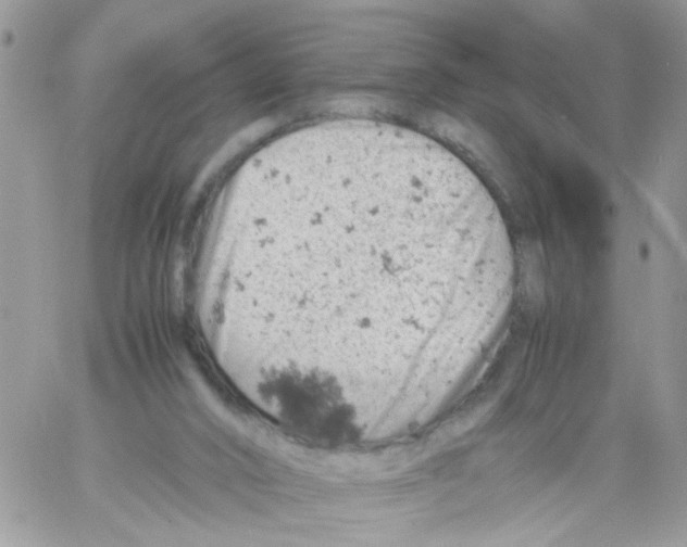 X0000061740016200512302223