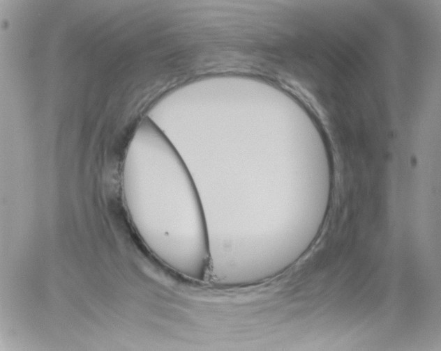 X0000061740017200512302223