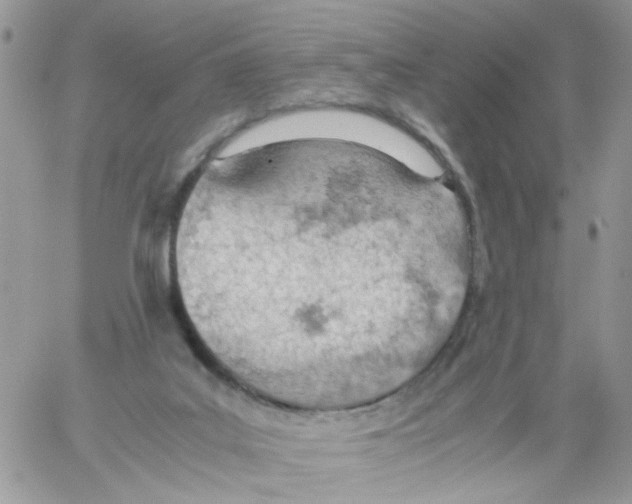 X0000061740019200512302223