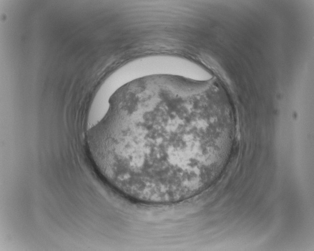 X0000061740021200512302223