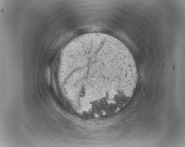 X0000061740022200512302223