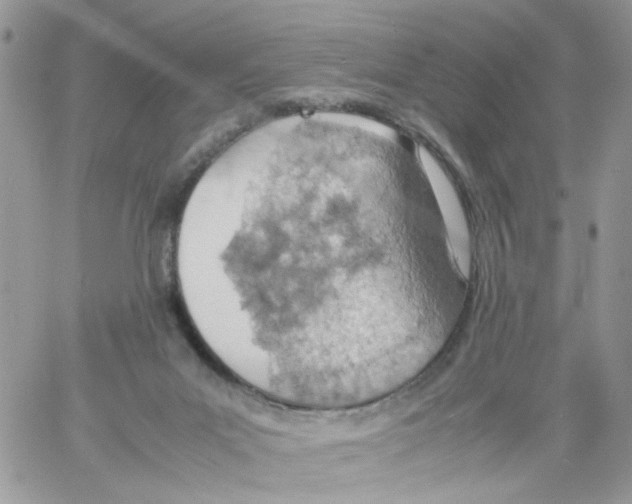 X0000061740023200512302223