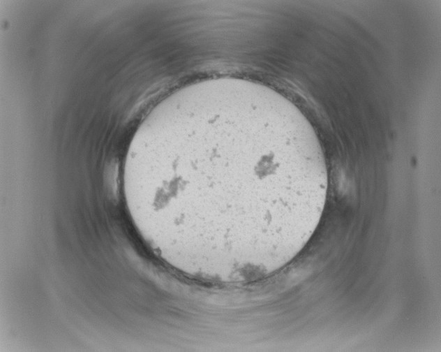 X0000061740024200512302223