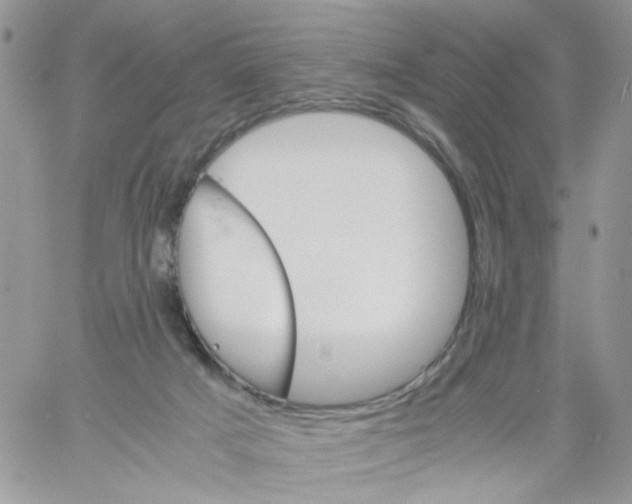 X0000061740025200512302223