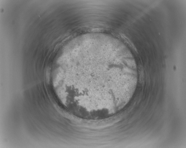 X0000061740026200512302223