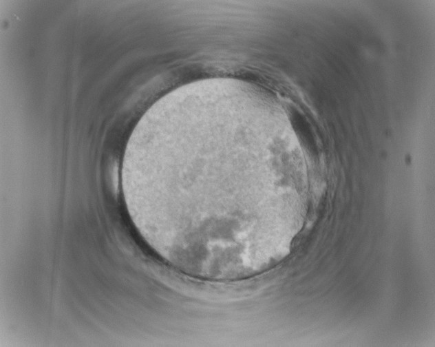 X0000061740027200512302223