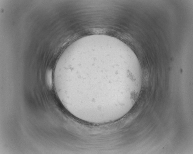 X0000061740028200512302223