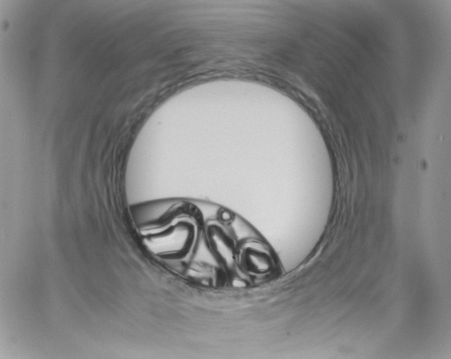 X0000061740029200512302223