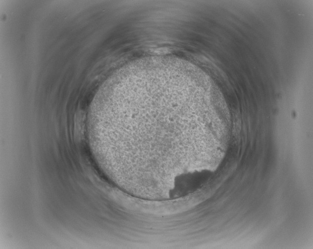 X0000061740030200512302223