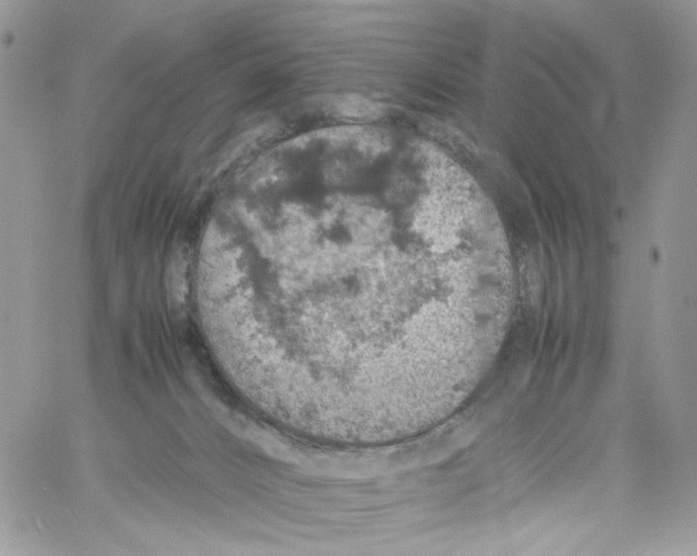 X0000061740032200512302223