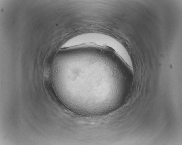 X0000061740033200512302223