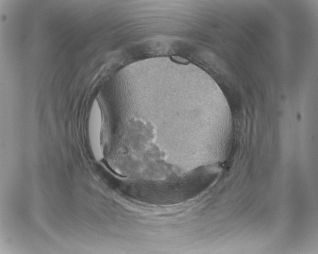 X0000061740035200512302223